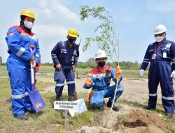 Lakukan Penghijauan, Kilang Balongan ditanami 1.000 Bibit Pohon