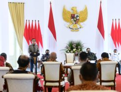 Presiden Jokowi Dorong Pertamina dan PLN Siapkan Transisi Energi