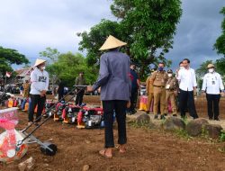 Presiden Jokowi Berharap Kebutuhan Jagung Nasional Tercukupi