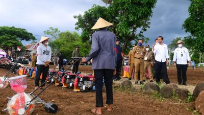 Presiden Jokowi Berharap Kebutuhan Jagung Nasional Tercukupi