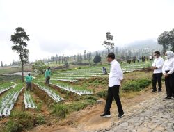 Tanam Bawang dengan Petani, Presiden Harap Produktivitas dan Pendapatan Petani Meningkat