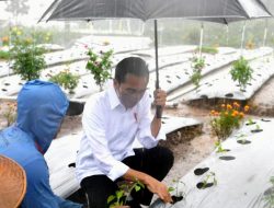 Dialog dengan Presiden, Petani Wonosobo Ungkapkan Manfaat Lumbung Pangan bagi Mereka
