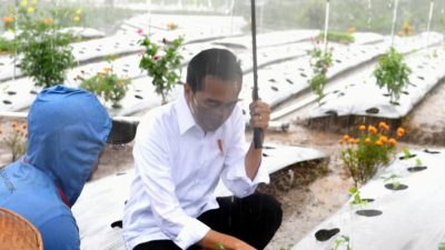 Dialog dengan Presiden, Petani Wonosobo Ungkapkan Manfaat Lumbung Pangan bagi Mereka