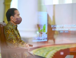 Presiden Dorong Kemudahan Akses Permodalan bagi Pelaku UMKM