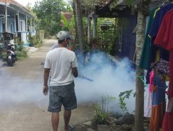 Warga Terjangkit DBD, Camat Kertasmaya Lakukan Fogging
