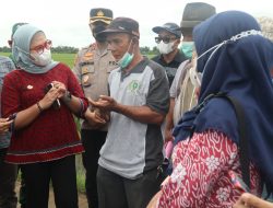 Bupati Nina Agustina: Petani jangan kuatir dengan ketersediaan pupuk bersubsidi