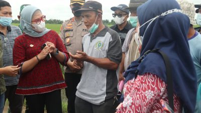 Bupati Nina Agustina: Petani jangan kuatir dengan ketersediaan pupuk bersubsidi