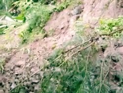 Hujan lebat guyur Kulon-Progo 1 rumah janda tertimpa longsoran