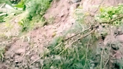 Hujan lebat guyur Kulon-Progo 1 rumah janda tertimpa longsoran