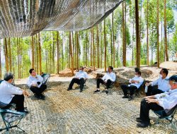 Tinjau Persemaian Mentawir, Presiden: Pembangunan IKN Diawali dengan Rehabilitasi Lahan