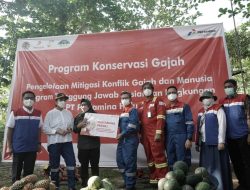Menteri Keuangan Republik Indonesia Apresiasi Konservasi Gajah Binaan Pertamina Hulu Rokan