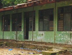 Gedung bekas sekolah beralih fungsi sebagai jemur pakan ternak