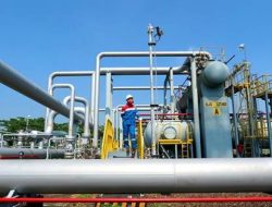PGN Subholding Gas Pertamina dan PIM Kembangkan Bisnis Berbasis Gas Dukung Penurunan Emisi Karbon