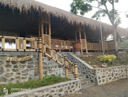 Cafe Thalita, sajikan kuliner khas Pedesaan Suku Osing