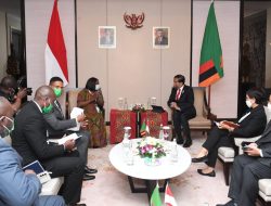 Bertemu Wakil Presiden Zambia, Presiden Jokowi Bahas Penguatan Kerja Sama Ekonomi