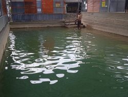 Nikmati Sensasi Beli BBM Sambil Berendam di Kolam Air Panas