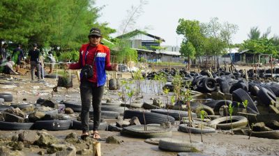 Peringati Hari Lingkungan Hidup Sedunia 2022, Pertamina RU VI tanam Pohon Cemara Laut dan bersih Pantai Pesisir Balongan