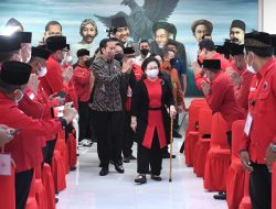 Presiden Jokowi Dorong Gotong Royong Bangun Kemandirian Pangan