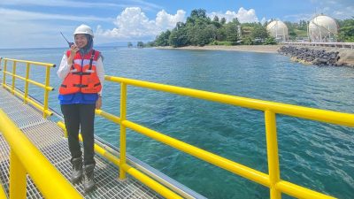 Elnusa, Terdepan dalam Layanan Jasa Energi