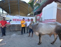 Pertamina RU VI Balongan salurkan 125 ekor hewan  kurban untuk masyarakat Indramayu 