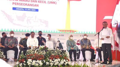 Presiden Jokowi Dorong Pelaku UMKM Manfaatkan Platform Daring untuk Dongkrak Omzet