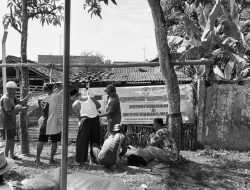 Kurban Tanda Cinta di Yayasan Baitul Muhaimin
