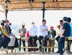 Presiden Jokowi Ingatkan Petani Rawat Kelapa Genjah