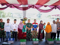 Dukung Ketahanan Pangan Nasional, PHR dan TNI AD Bersinergi Dalam Pengolahan Lahan 100 Hektar untuk Tanaman Pangan
