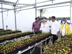 Tinjau Tahura Ngurah Rai, Presiden: Ini Tunjukkan Kepedulian Indonesia terhadap Lingkungan