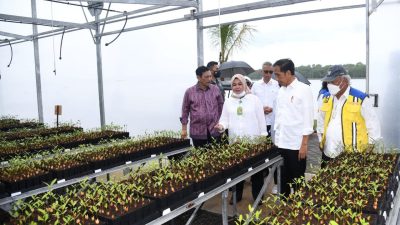 Tinjau Tahura Ngurah Rai, Presiden: Ini Tunjukkan Kepedulian Indonesia terhadap Lingkungan