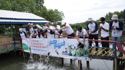 Voluntary Days Pertamina 2022, Kunjungi Desa Energi Berdikari di Kutawaru, Cilacap