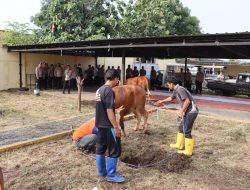 Polresta Cirebon Laksanakan Penyembelihan Hewan (Istigosah) Dalam Rangka Pengamanan Nataru