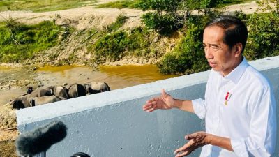 Presiden Tekankan Pembangunan Infrastruktur harus Ramah Lingkungan