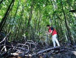 PHR Hadirkan Ecoeduwisata Bandar Bakau dan Jaga Konservasi Mangrove di Pesisir Riau