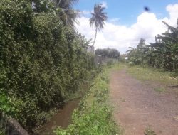 Area Kayu Antap di Tangsel Tak Layak Disebut Situ