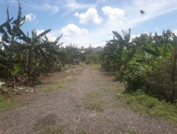 Dalam Kasus Kayu Antap, Pemkot Tangsel Harus Peka Terhadap Keluhan Warga