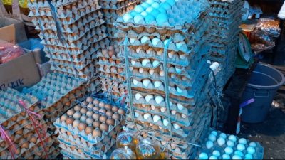 Harga Telur Di Pasar Tradisional Alami Kenaikan Jelang Hari Raya Idhul Adha