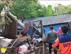Pohon Kramat, Hancurkan Dua Rumah Warga