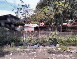 Ketua SMSI Binjai – Langkat : Saya Minta Kepada Kapolri Tutup Tempat Judi Beromset Milyaran