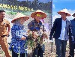 TETO: Provinsi Sumut Segera Dikenal Sebagai Basis Produksi Pangan
