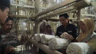 BMM Gelar Peresmian Program Pemberdayaan Ekonomi Jamur Tiram Masyarakat di Surabaya