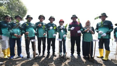 Pertamina Project Balongan Tanam 55 Ribu Pohon Mangrove di Pantai Tiris Indramayu