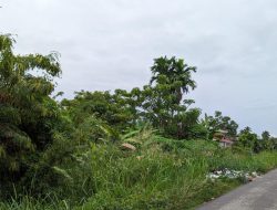 Bau Busuk dari Irigasi Lintas Barat Ganggu Pengguna Jalan Yang Melintas