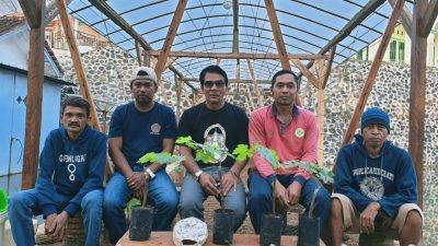 Dusun Singgugu Budidayakan Anggur Impor Di Pekarangan Rumah Guna Mendongkrak Perekonomian