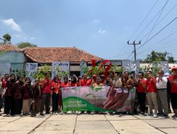 Alfamart Bantu Penghijauan di Desa Cantigi Kulon Kecamatan Cantigi Kabupaten Indramayu