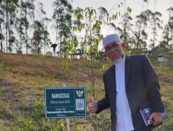 Menimbang Masa Depan IKN Pasca Pilpres 2024 (Sebuah renungan pasca kunjungan penulis ke IKN awal Oktober 2023