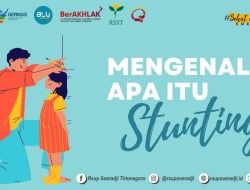 Terkait Stunting, SMSI Madina Akan Surati Ketua Tim Minta Klarifikasi 