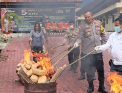 Polres Madina Musnahkan 91 Bal Barang Bukti Ganja