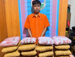 Sempat Kejar Kejaran, Kurir Narkoba Ini Akhirnya Ditangkap Polisi