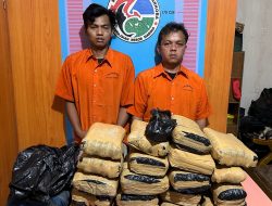 Dua Warga Sumbar Gol ke Penjara Gegara Bawa Ganja 19 Ball